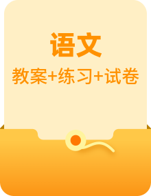 2024年中考语文 记叙文阅读专讲专练 教案及试卷（原卷+答案及解释）