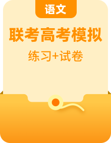 2024年高考语文“九省联考”新题型专练（九省通用）