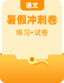 （备考、冲刺南外）萌娃五升六语文素养全面提升、必读国学暑期名师夏令营周周练（有答案）