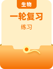 【高考一轮】2024年高考生物一轮复习重难点突破讲解与训练（新教材）