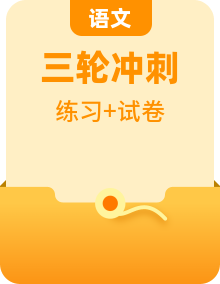 2023年中考语文三轮冲刺复习练习  (含详解)