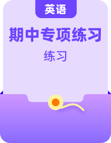 期中综合专项练习— 人教PEP版英语四年级上册