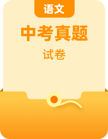 【备战2024中考】2023年中考语文真题分项汇编（全国通用）