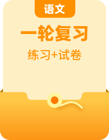 2025年中考语文一轮复习重难点练习 （2份，原卷版+解析版）