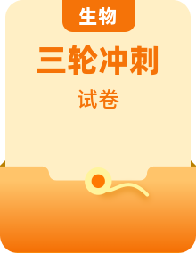 2023年中考语文考前信息必刷卷（浙江地区专用）