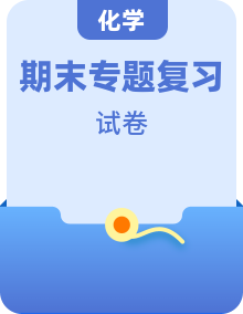 2023-2024学年九年级化学上学期期末必刷专题复习和模拟试卷（沪教版上海）