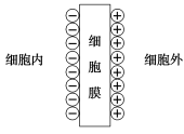 E:\24《微专题》\24微专题物理（新教材）(成书XL-5)\24微专题物理（新教材）\24微物理H68.TIF