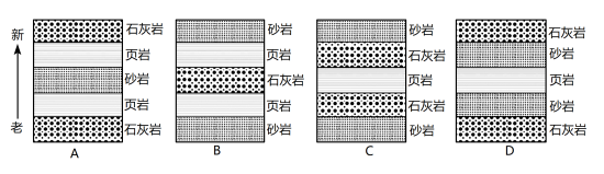 学科网(www.zxxk.com)--教育资源门户，提供试卷、教案、课件、论文、素材以及各类教学资源下载，还有大量而丰富的教学相关资讯！