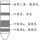 高考资源网(ks5u.com),中国最大的高考网站,您身边的高考专家。