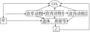 F:\一轮\生物\914.TIF