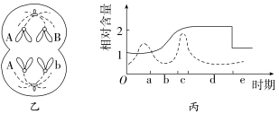 F:\一轮\生物\579.TIF