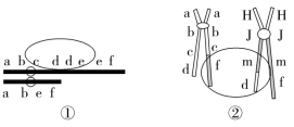 F:\一轮\生物\610a.TIF