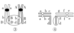 F:\一轮\生物\610b.TIF