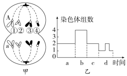 F:\一轮\生物\321.TIF