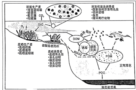 学科网(www.zxxk.com)--教育资源门户，提供试卷、教案、课件、论文、素材以及各类教学资源下载，还有大量而丰富的教学相关资讯！