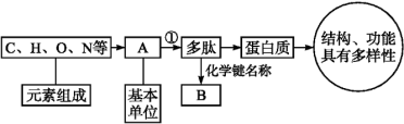 学科网 版权所有