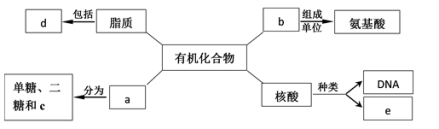 学科网 版权所有