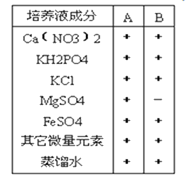 学科网 版权所有