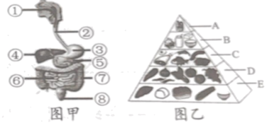 学科网(www.zxxk.com)--教育资源门户，提供试卷、教案、课件、论文、素材以及各类教学资源下载，还有大量而丰富的教学相关资讯！