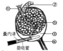 学科网(www.zxxk.com)--教育资源门户，提供试卷、教案、课件、论文、素材以及各类教学资源下载，还有大量而丰富的教学相关资讯！