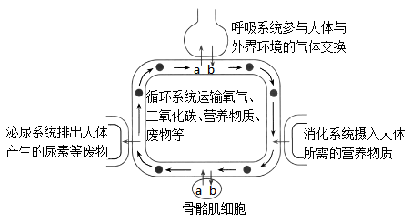 学科网(www.zxxk.com)--教育资源门户，提供试卷、教案、课件、论文、素材以及各类教学资源下载，还有大量而丰富的教学相关资讯！