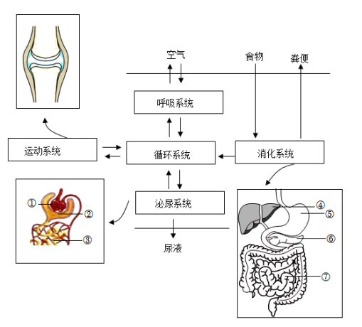 学科网(www.zxxk.com)--教育资源门户，提供试卷、教案、课件、论文、素材以及各类教学资源下载，还有大量而丰富的教学相关资讯！