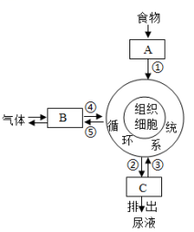 学科网(www.zxxk.com)--教育资源门户，提供试卷、教案、课件、论文、素材以及各类教学资源下载，还有大量而丰富的教学相关资讯！