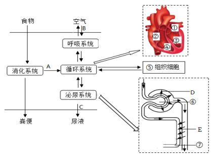 学科网(www.zxxk.com)--教育资源门户，提供试卷、教案、课件、论文、素材以及各类教学资源下载，还有大量而丰富的教学相关资讯！