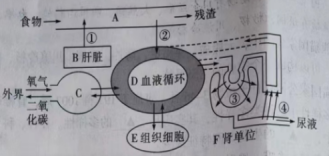 学科网(www.zxxk.com)--教育资源门户，提供试卷、教案、课件、论文、素材以及各类教学资源下载，还有大量而丰富的教学相关资讯！