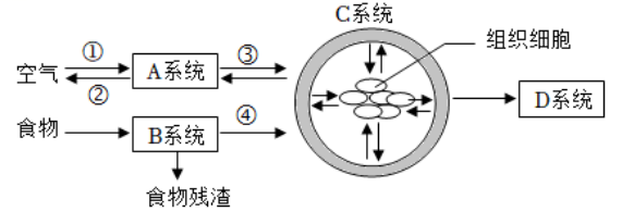 学科网(www.zxxk.com)--教育资源门户，提供试卷、教案、课件、论文、素材以及各类教学资源下载，还有大量而丰富的教学相关资讯！