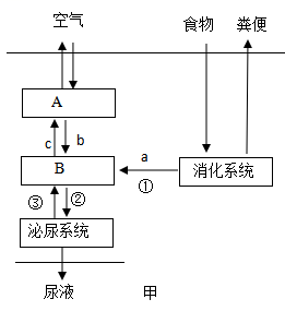 学科网(www.zxxk.com)--教育资源门户，提供试卷、教案、课件、论文、素材以及各类教学资源下载，还有大量而丰富的教学相关资讯！