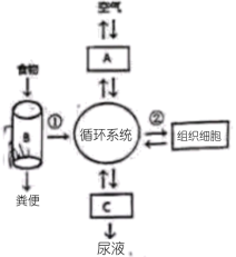 学科网(www.zxxk.com)--教育资源门户，提供试卷、教案、课件、论文、素材以及各类教学资源下载，还有大量而丰富的教学相关资讯！