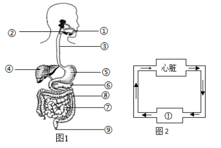 学科网(www.zxxk.com)--教育资源门户，提供试卷、教案、课件、论文、素材以及各类教学资源下载，还有大量而丰富的教学相关资讯！