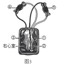 学科网(www.zxxk.com)--教育资源门户，提供试卷、教案、课件、论文、素材以及各类教学资源下载，还有大量而丰富的教学相关资讯！