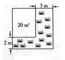 图示

描述已自动生成