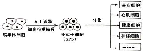 学科网(www.zxxk.com)--教育资源门户，提供试卷、教案、课件、论文、素材以及各类教学资源下载，还有大量而丰富的教学相关资讯！