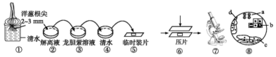 学科网(www.zxxk.com)--教育资源门户，提供试卷、教案、课件、论文、素材以及各类教学资源下载，还有大量而丰富的教学相关资讯！