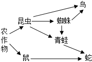 学科网(www.zxxk.com)--教育资源门户，提供试卷、教案、课件、论文、素材以及各类教学资源下载，还有大量而丰富的教学相关资讯！