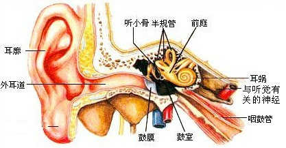 菁优网：http://www.jyeoo.com