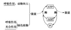 KTB18SW-261.TIF