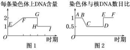 23XYSW-403.TIF