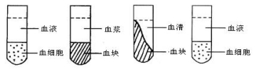 21世纪教育网 -- 中国最大型、最专业的中小学教育资源门户网站