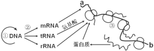 高中试卷网 http://sj.fjjy.org