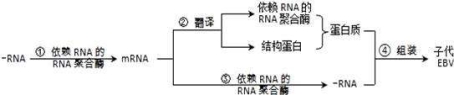 高中试卷网 http://sj.fjjy.org