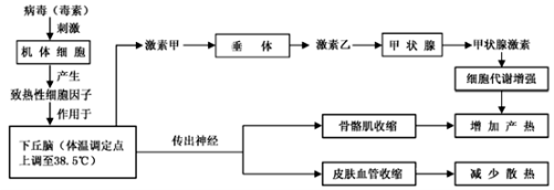 高中试卷网 http://sj.fjjy.org