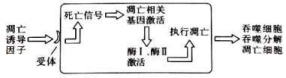 高中试卷网 http://sj.fjjy.org