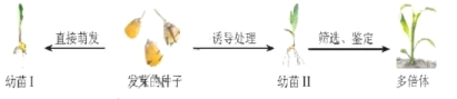 高中试卷网 http://sj.fjjy.org