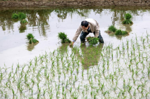 学科网(www.zxxk.com)--教育资源门户，提供试卷、教案、课件、论文、素材以及各类教学资源下载，还有大量而丰富的教学相关资讯！